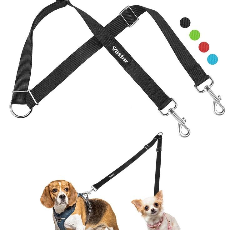 adjustable dog leash