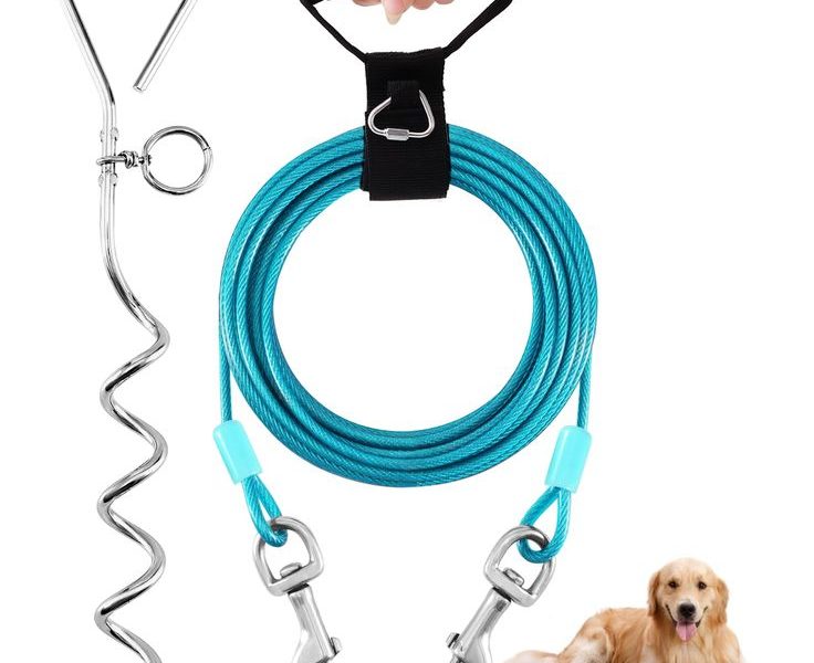 durable dog leash