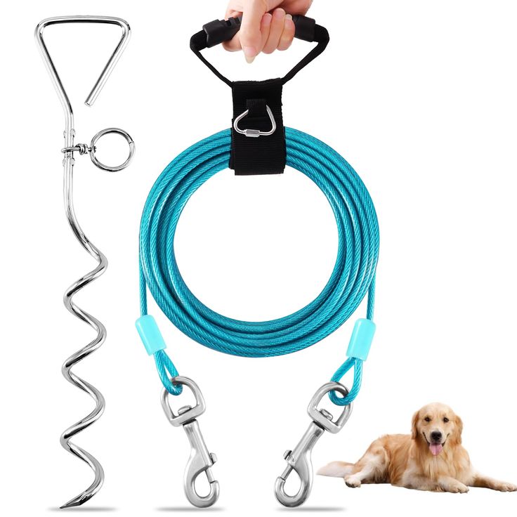 durable dog leash