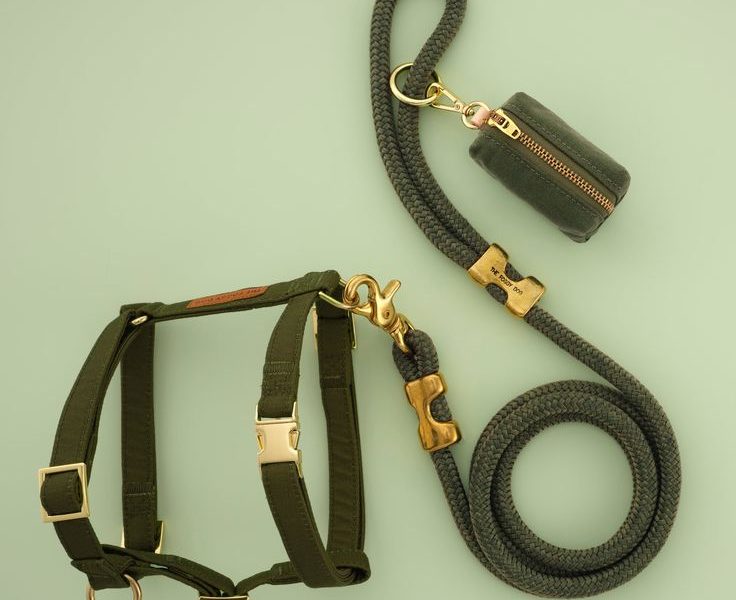 dog leash clips