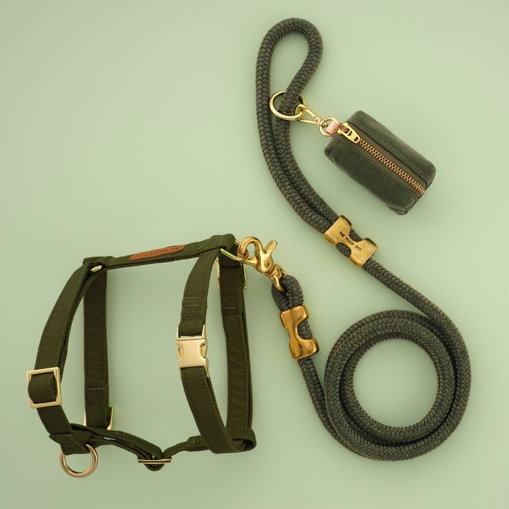 dog leash clips