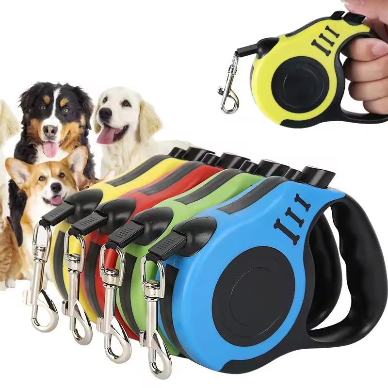 long leash dog