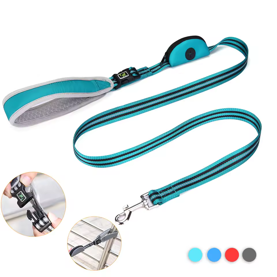 long leash dog