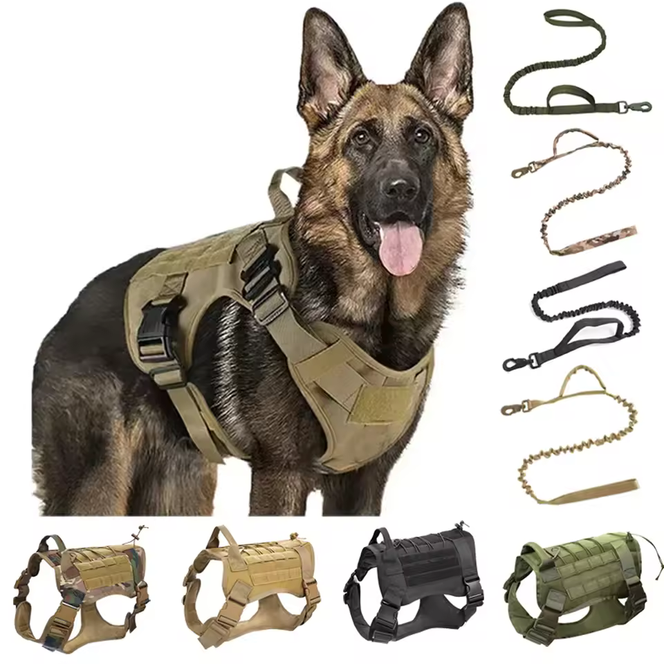 dog leash for big dogs