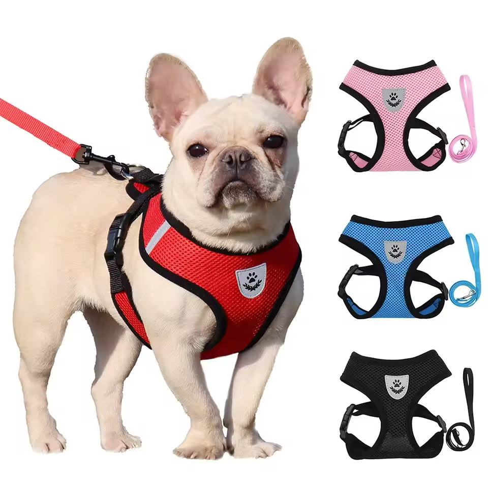 leashes for dogs