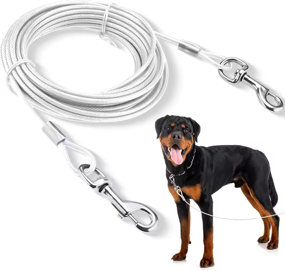 chain for dog