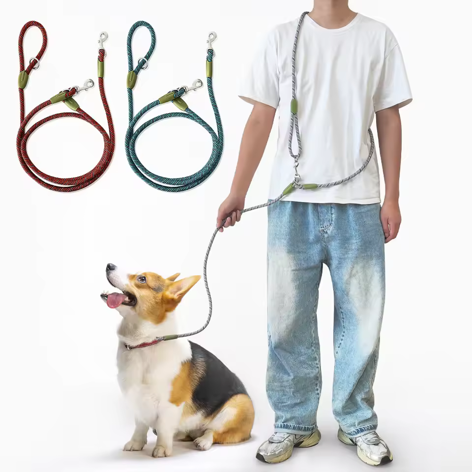 chain for dog