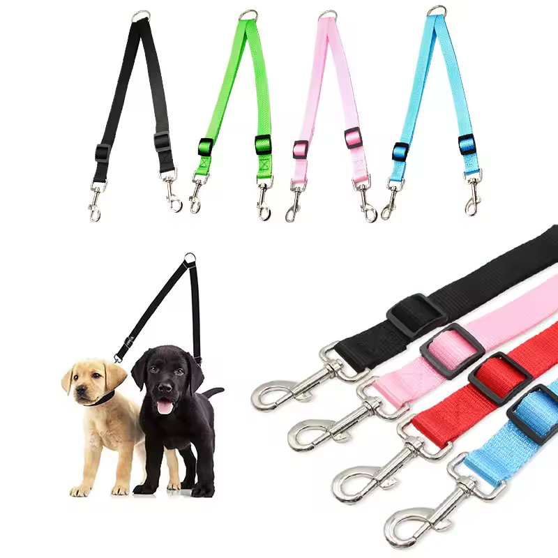 long leash dog