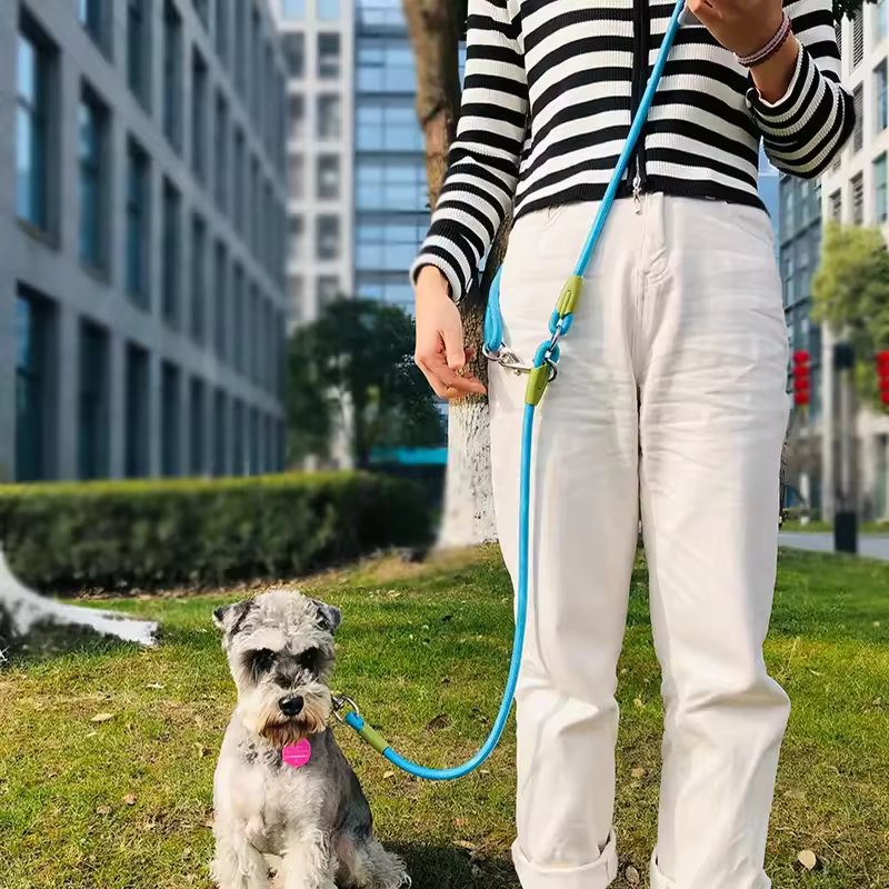 rope dog leash