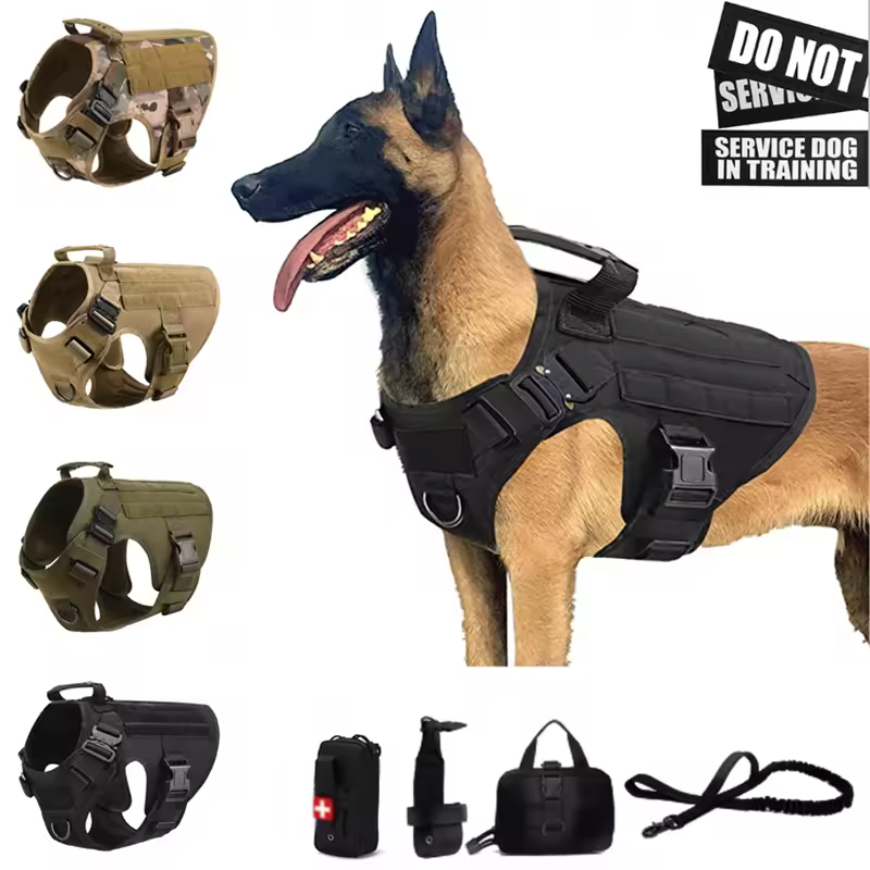 leashes for dogs