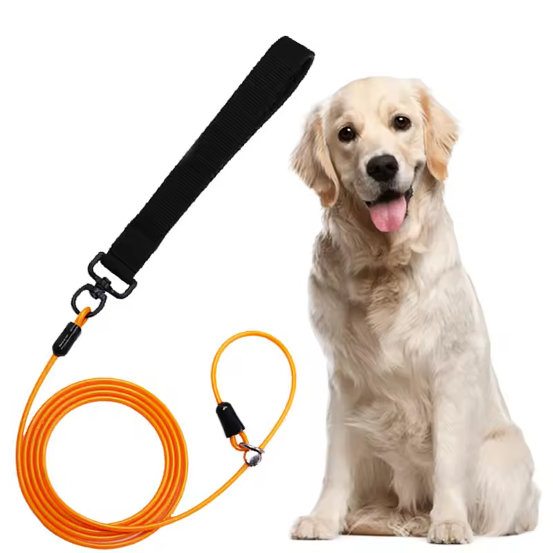 long dog leash