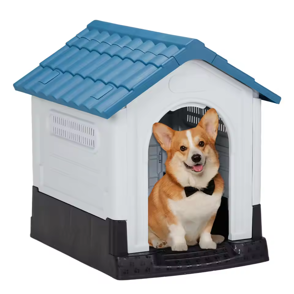 dog house