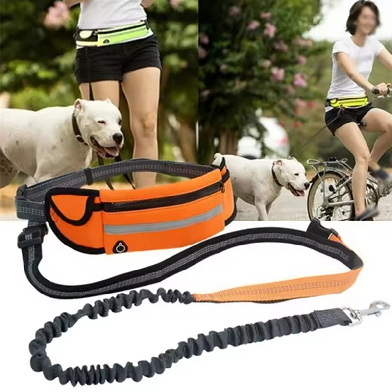 hands free dog leash