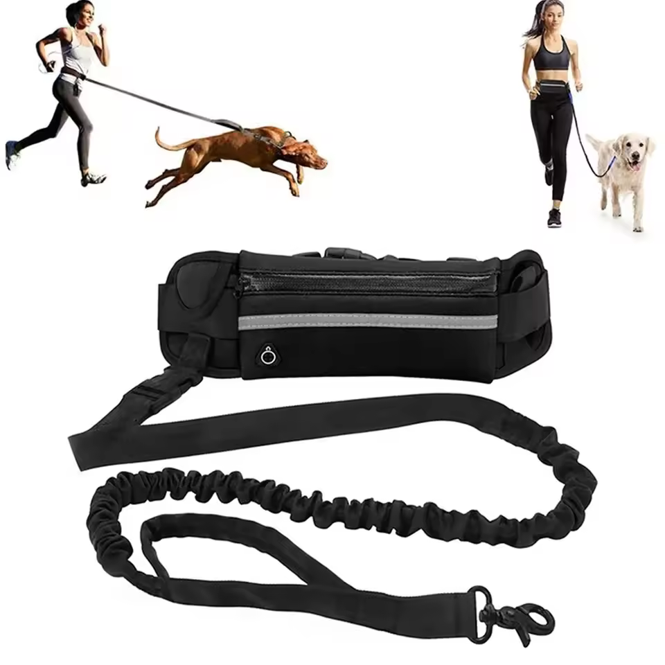 hands free dog leash